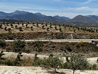 IMG_2210