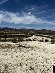IMG_2207