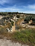 IMG_2206