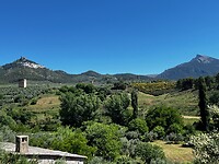 IMG_2263