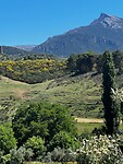 IMG_2262