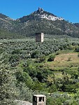 IMG_2261