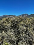 IMG_2260