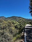 IMG_2259