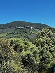 IMG_2258