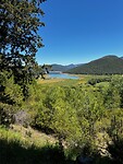 IMG_2254