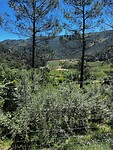 IMG_2253