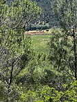 IMG_2252