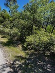 IMG_2251