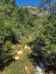 IMG_2248