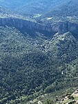 IMG_2236