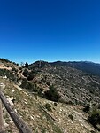 IMG_2232