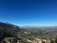 IMG_2229