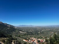 IMG_2224