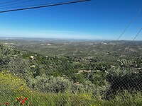 IMG_2221