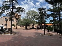 IMG_2299