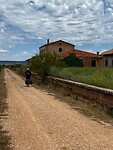 IMG_2290