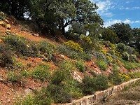 IMG_2288