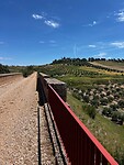 IMG_2285