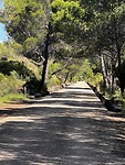 IMG_2267