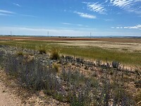 IMG_2333