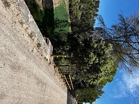 IMG_2331