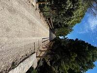 IMG_2330