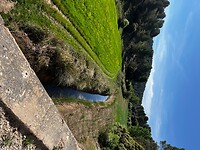 IMG_2329