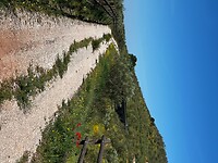 IMG_2323