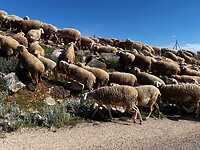 IMG_2324