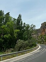 IMG_2368