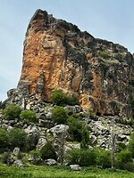 IMG_2367