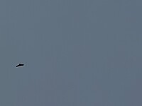 IMG_2363