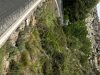 IMG_2355