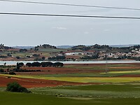 IMG_2353