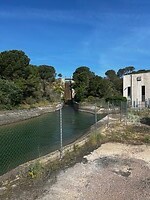IMG_2341