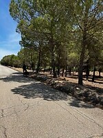 IMG_2337