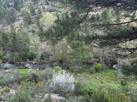 IMG_2415