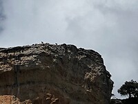 IMG_2413
