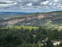 IMG_2401