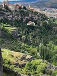 IMG_2393