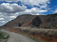 IMG_2459