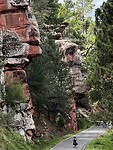 IMG_2455