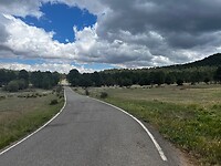 IMG_2449