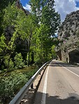 IMG_2439