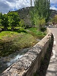 IMG_2435