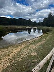 IMG_2427