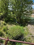 IMG_2496