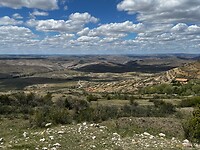 IMG_2488