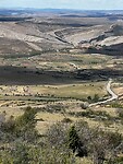 IMG_2487